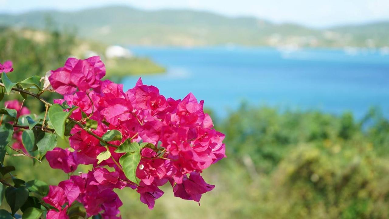 Coqui Beach Home, Culebra Isla Culebra Eksteriør bilde